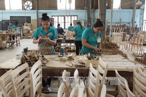 Tìm giải pháp tài chính cho doanh nghiệp gỗ